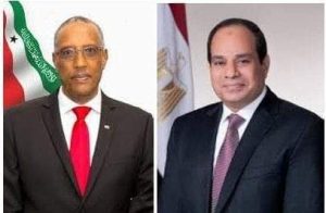 دول جنوب البحر الاحمر عند مضيق باب المندب تتوحد لحمايته من هجمات الحوثيين وتؤيد موقف مصر الداعم لها