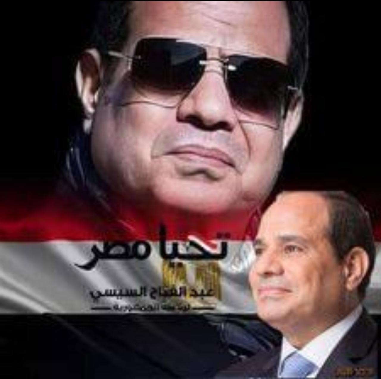 السيسي: مصر تواصل دفع جهود إقامة الدولة المستقلة ليحصل الفلسطينيون على حقوقهم المشروعة
