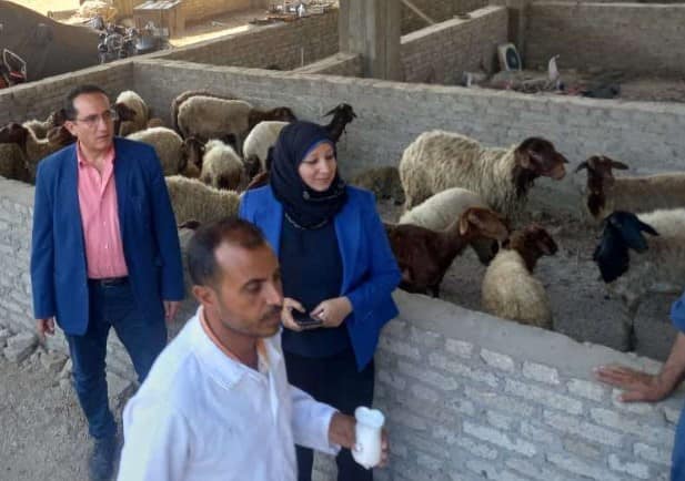بيطري المنيا: تقديم 3138 خدمة خلال 6 قوافل بيطرية مجانية إرشادية بقرى المحافظة تزامناً مع عيد الفلاح الـ 72