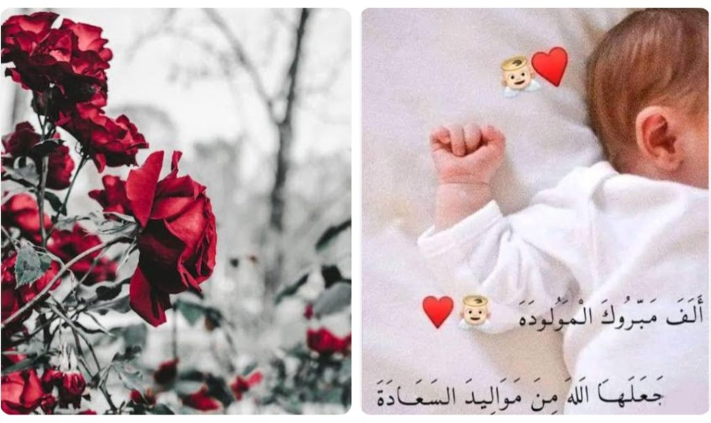 أجمل التهاني والتبريكات