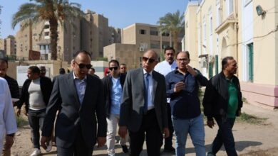 وزارة التنمية المحلية تتابع جهود محافظتى المنيا وبورسعيد بشأن ملف المشروعات التنموية والخدمية