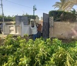 تنفيذ المرحلة الثانية للمبادرة الرئاسية زراعة 100 مليون شجرة