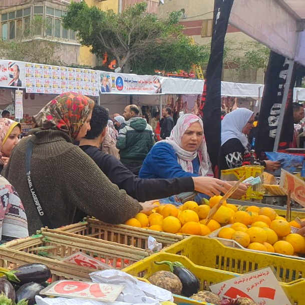 إقامة سوق اليوم الواحد بميدان المندرة نطاق حي منتزة ثان