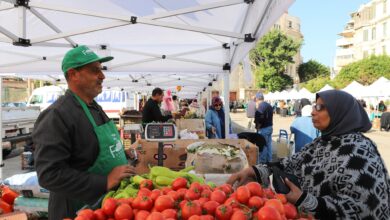 استمرار أسواق اليوم الواحد بأحياء الإسكندرية
