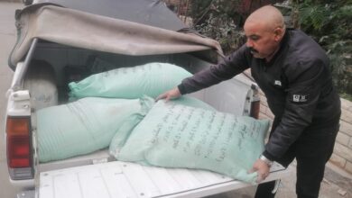 تموين الإسكندرية تشن حملات على المخابز البلدية