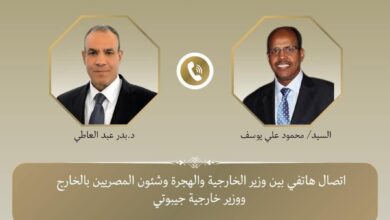أجرى وزير الخارجية بالقاهرة، اتصالاً هاتفياً ونظيره الجيبوتى لبحث سبل تعزيز العلاقات الثنائية بين البلدين