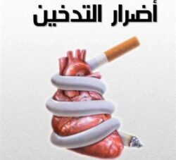 حقيقه إحصائيّات تراجع عدد المدخنين حول العالم