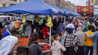 محافظ الإسكندرية يتفقد سوق اليوم الواحد للمزارعين