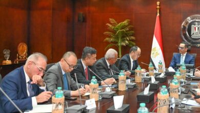 وزير الاستثمار والتجارة الخارجية يلتقي رئيسي شركتي بروميتون تاير مصر و CNRC الصينية