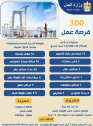 وزير العمل يعلن عن 300 فرصة عمل بإحدى الدول العربية