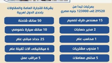 وزير العمل يعلن عن 300 فرصة عمل بإحدى الدول العربية