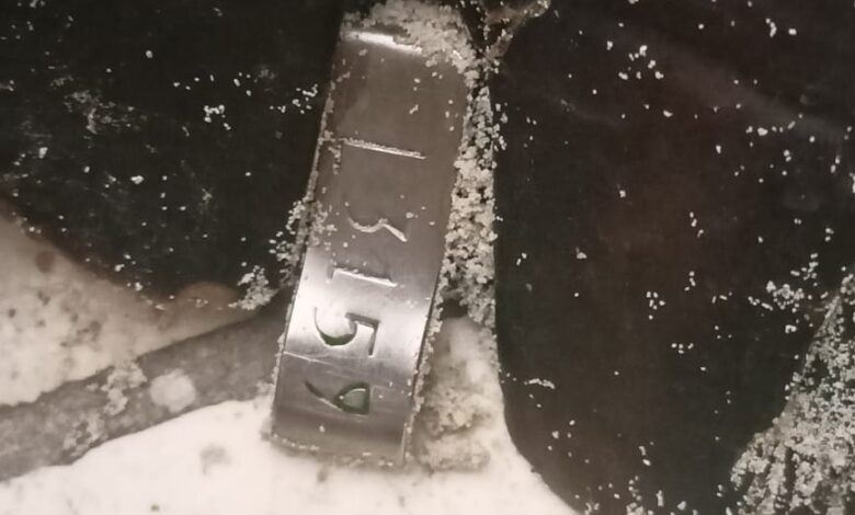 العثور على سلحفاة بحرية كبيرة