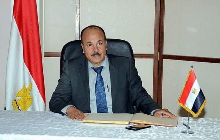 المصريين بالخارج يطالبون بزيادة عدد المقاعد وأن تكون العملية الإنتخابية بالنظام الفردى   