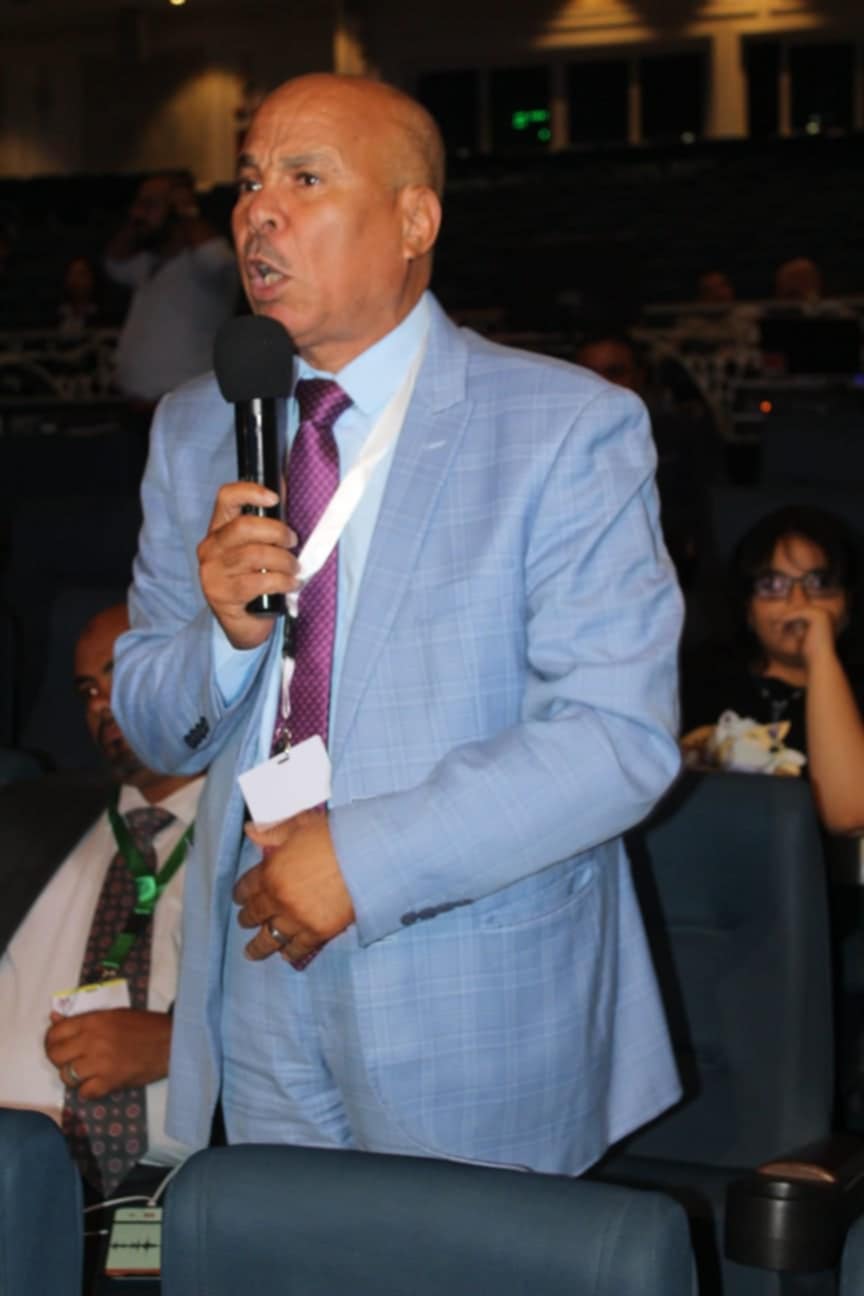 المصريين بالخارج يطالبون بزيادة عدد المقاعد وأن تكون العملية الإنتخابية بالنظام الفردى