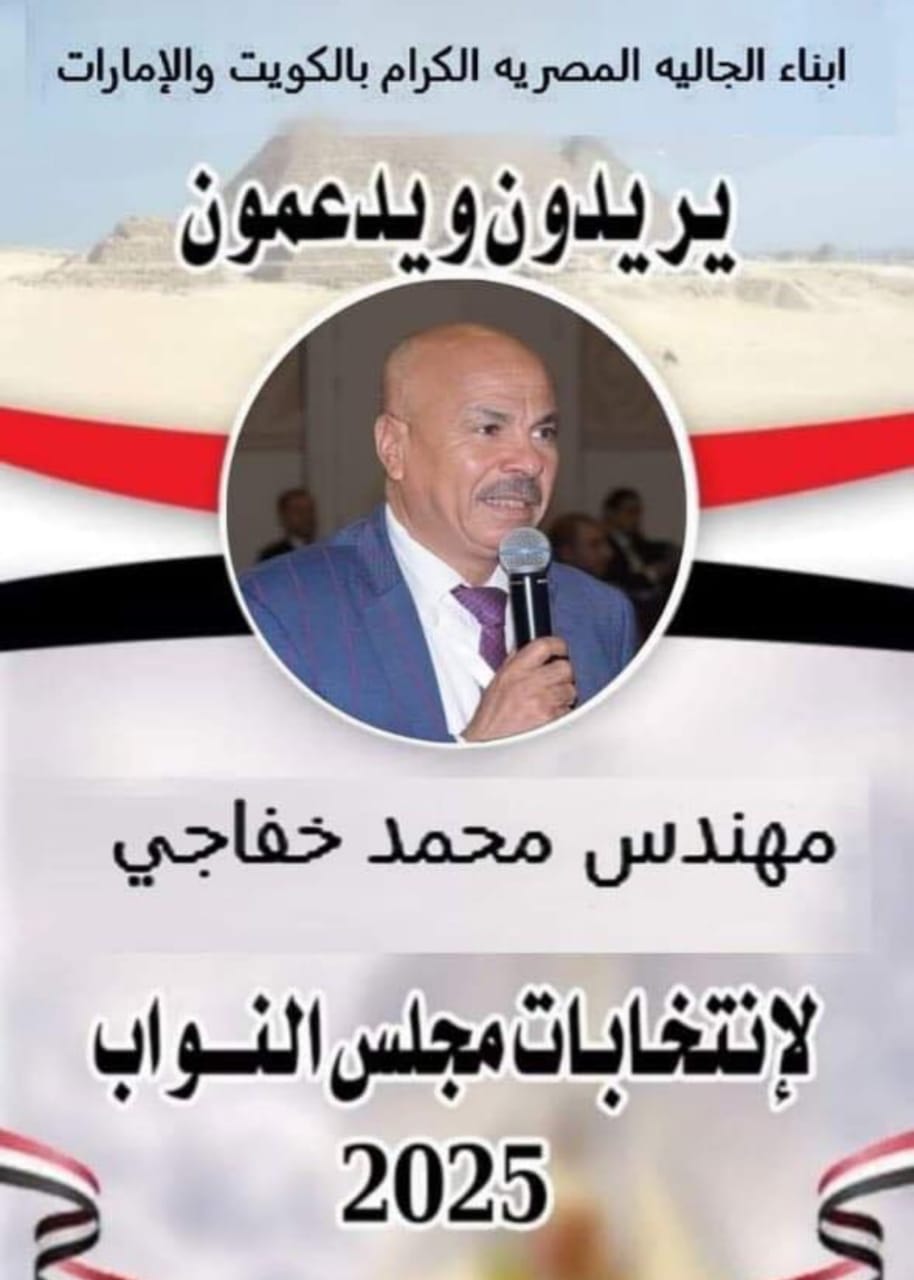 المصريين بالخارج يطالبون بزيادة عدد المقاعد وأن تكون العملية الإنتخابية بالنظام الفردى