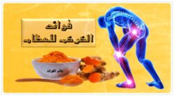 الفوائد الصحية والعلاجيه لمشروب الكركم وفاعليته لعلاج هشاشة العظام