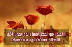 "الإعتذار وأهميته بحياتنا فهو مفتاح لبناء الثقة وتحسين العلاقات"