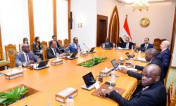 وزير الخارجية يستقبل أعضاء اللجنة التنفيذية للرابطة الإفريقية للإدارة العامة بمصر