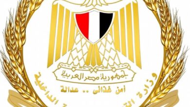 التموين.. سعر مغرٍ لتوريد القمح المحلي أعلى من السعر العالمي