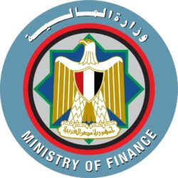 عودة خدمات الدعم الفنى بالتطبيق الإلكتروني لمبادرة سيارات المصريين بالخارج