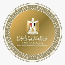 وزير الخارجية والهجرة يلتقي مع الرئيس الصومالى 