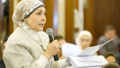 وكيلة لجنة المشروعات بمجلس النواب تطالب بضبط الأسواق