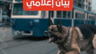 واقعة تعدي أشخاص بكلب على محصل بترام الرمل