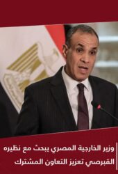 وزير الخارجية المصري يبحث مع نظيره القبرصى التعاون المشترك بين البلدين
