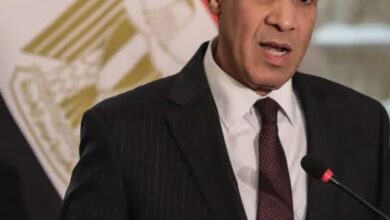 وزير الخارجية المصري يبحث مع نظيره القبرصى التعاون المشترك بين البلدين
