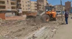 رفع ٢٥٠ طن قمامة من شارع الترعة بحي ثان المحلة الكبرى