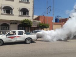 محافظ الغربية.. يدفع بحملات مكثفة لمكافحة الناموس مراكز ومدن المحافظة