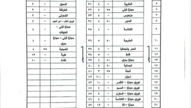 قنا تعتمد تعريفة الركوب الجديدة بزيادة 15% عقب تحريك أسعار الوقود