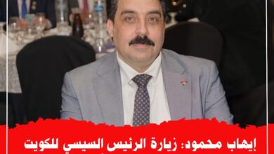 المهندس ايهاب محمود