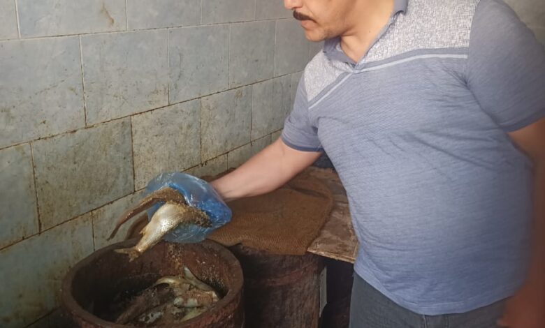 تموين شرق الإسكندرية يضبط فسيخ و رنجة مجهولة المصدر