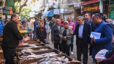 محافظ الإسكندرية يأمر بتحرير محاضر وتشميع عدد من المحال المخالفة داخل سوق زنانيرى
