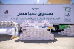 شراكة إماراتية مصرية في الخير