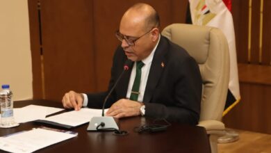 وزير العمل يعتمد صرف مليون و 594 ألف جنيه رعاية اجتماعية وصحية