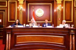 وزيرة التضامن تشارك إجتماع لجنة المشروعات المتوسطة والصغيرة ومتناهية الصغر