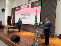 وزير الخارجية يترأس جانب مصر خلال أعمال اللجنة المشتركة المصرية الموريتانية