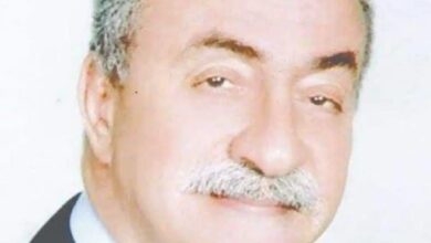 مسابقة ممدوح الليثي للسيناريو بمهرجان الإسكندرية