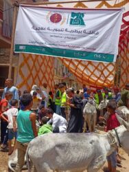 "التناسليات الحيوانية" يختتم أنشطة قافلة بيطرية مجانية بقرى "قنا"
