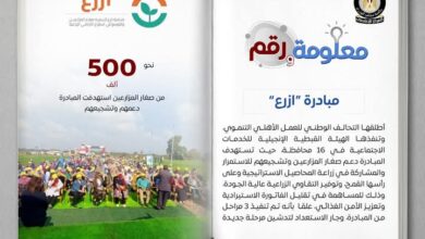 وزارة الزراعة:دعم صغار المزارعين والتوسع في زراعة المحاصيل الاستراتيجية