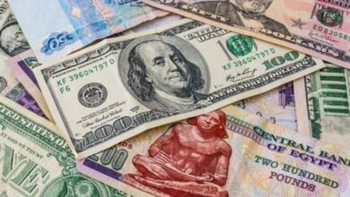 أسعار العملات العربيه والاجنبيه في مصر اليوم السبت 3 مايو 2025