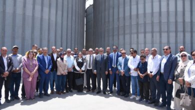 محافظ الإسكندرية يشهد انطلاق موسم توريد القمح بالعامرية
