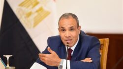 وزير الخارجية يزف بشرى للمصريين بالخارج: بحث تجديد مبادرة استيراد السيارات