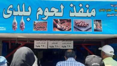 إقبال كبير من المواطنين على منافذ وزارة الزراعة لشراء لحوم عيد الأضحى