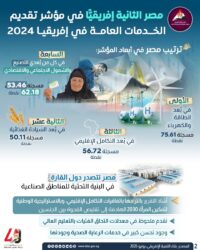 معلومات الوزراء: مصر الثانية إفريقيًا في مؤشر تقديم الخدمات العامة لعام 2024