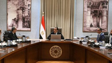 رئيس الوزراء يستعرض خطوات تنفيذ برنامج الطروحات الحكومية بقطاع الاتصالات