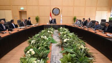 وزير النقل يبحث مع شركة ميتسوبيشي اليابانية سبل دعم التعاون المشترك