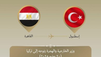 وزير الخارجية يتوجه إلى اسطنبول
